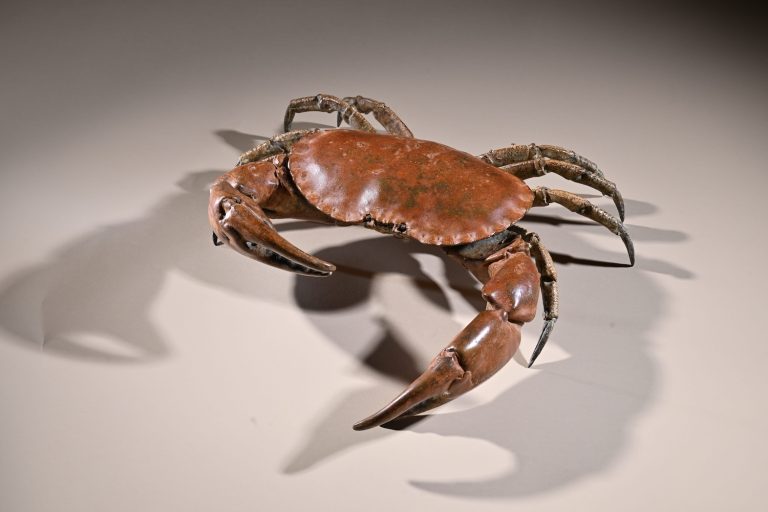 Bronze sculpture of crab