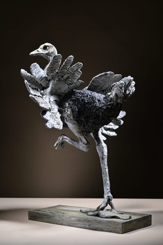 Mackie's ostrich in bronze
