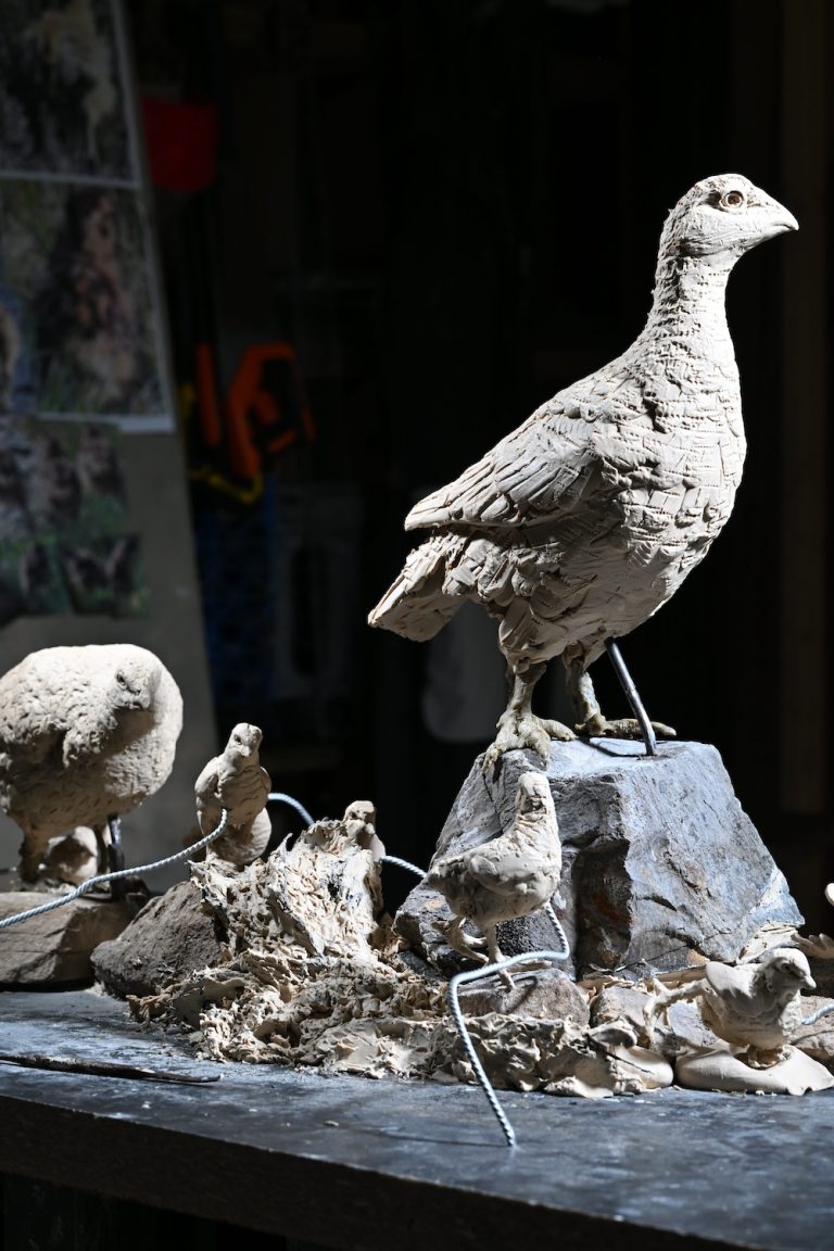 Mackie original clay sculpture of grouse brood