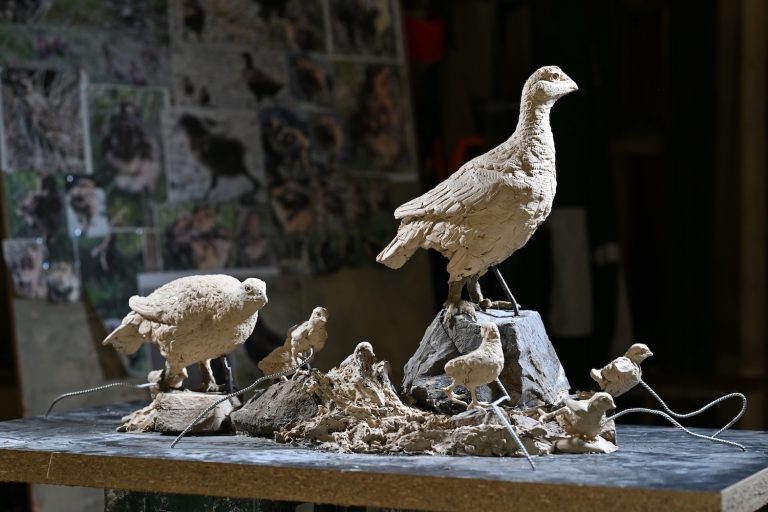 Clay sculpture grouse