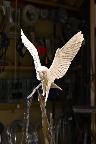 Clay Barn Owl