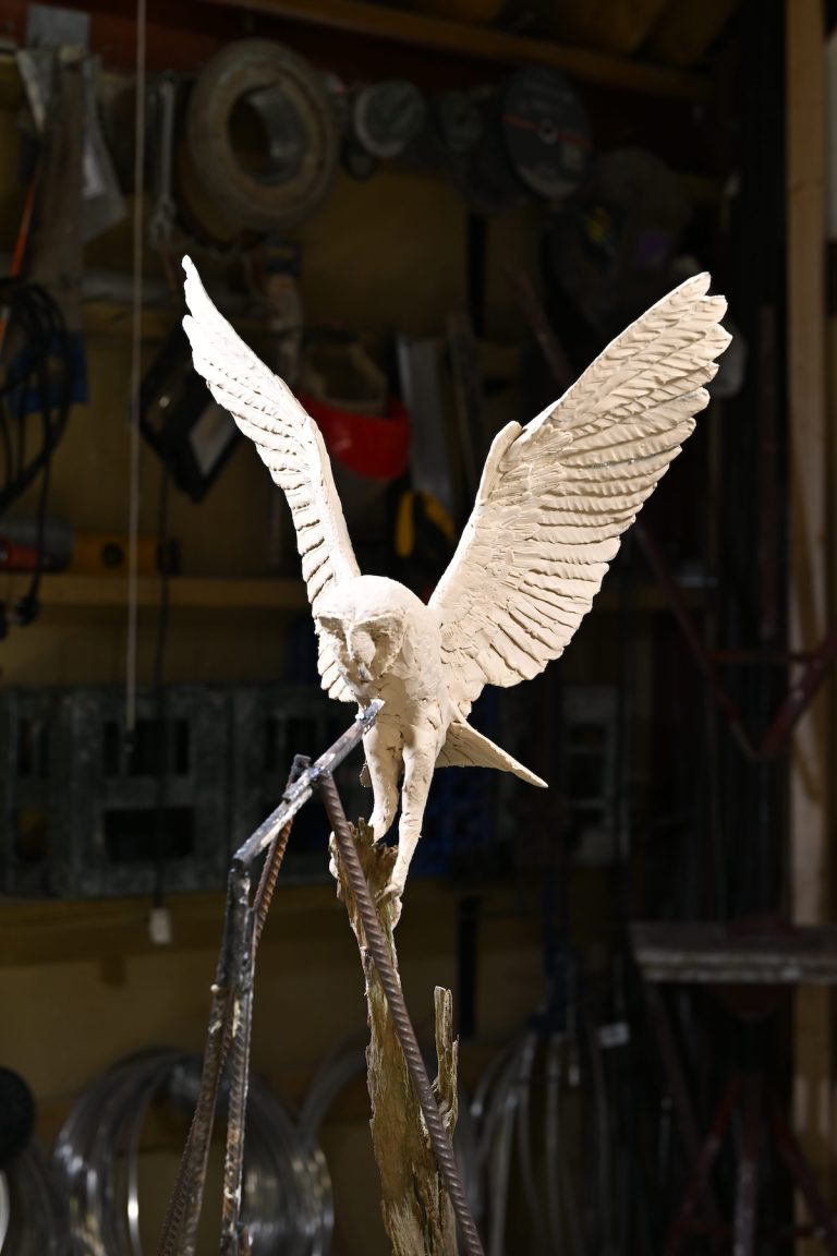 Clay Barn Owl
