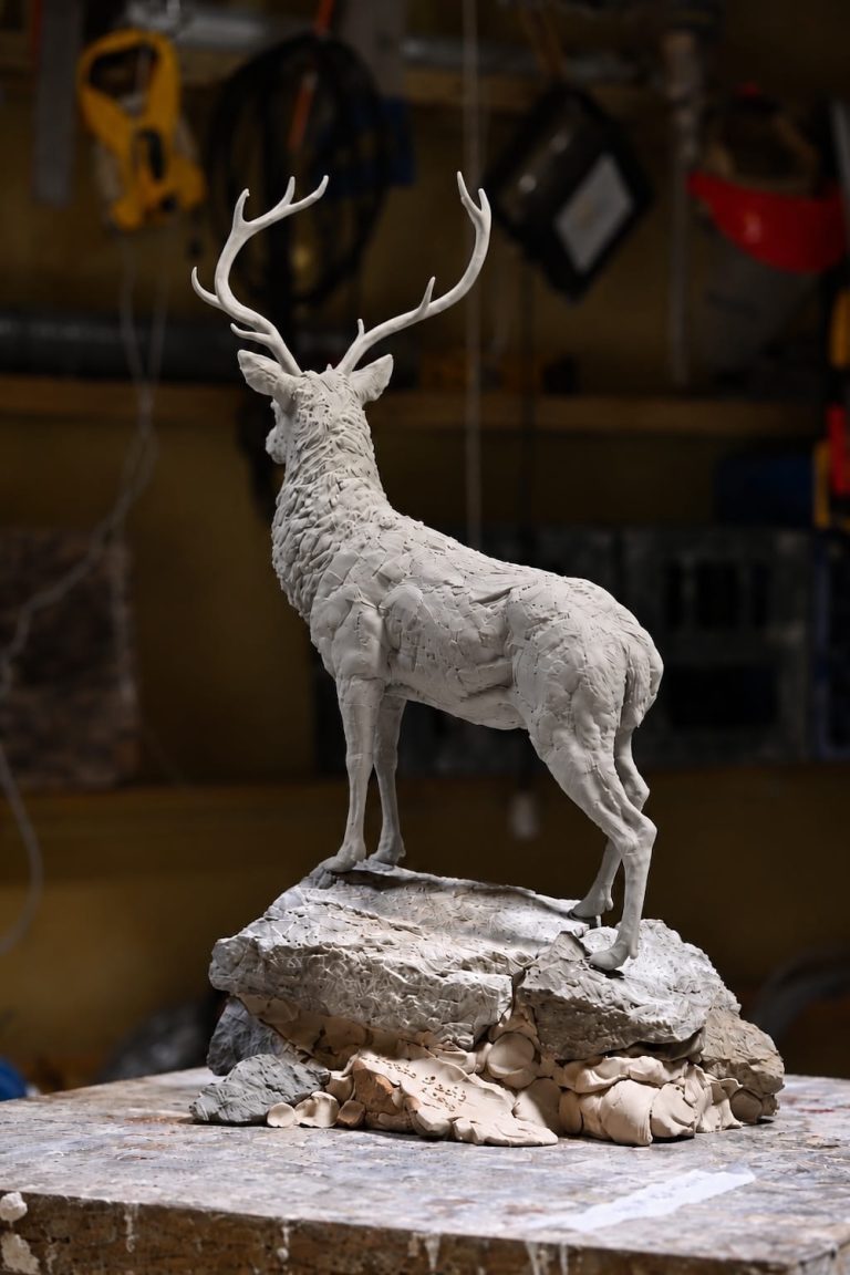 side view od red stag scaled
