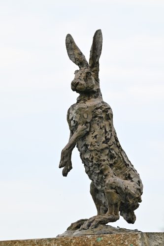 Mackie's hare sculpture