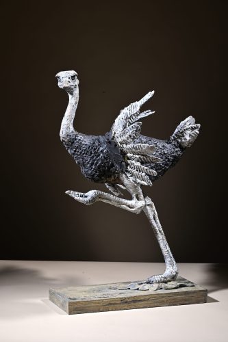 Hamish's sculpture of ostrich