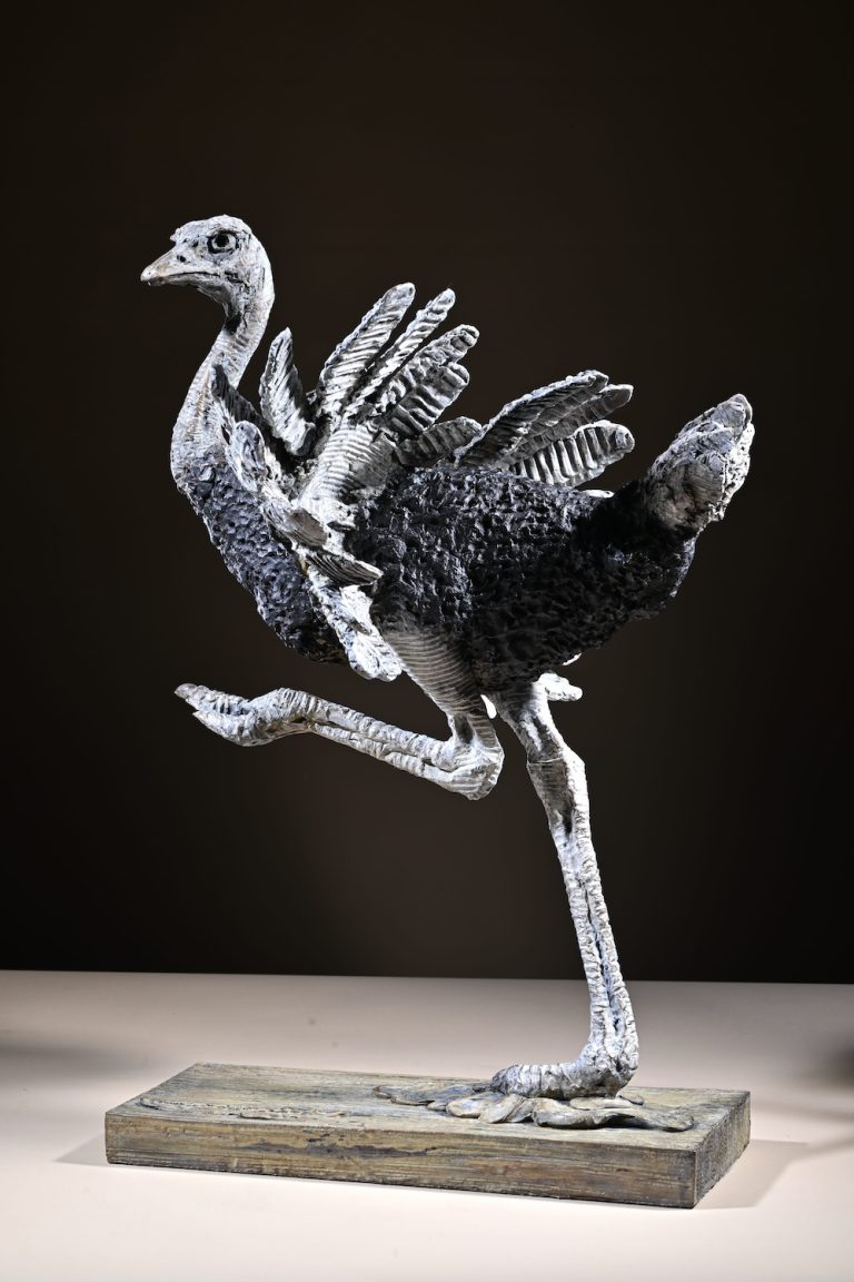 Mackie's bronze ostrich