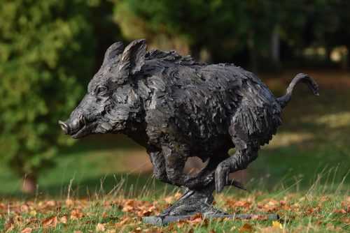 Mackie's wild boar