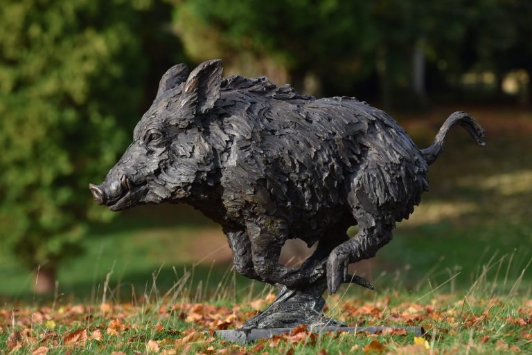 Mackie's wild boar
