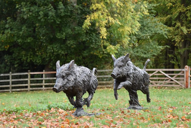 Wild boar sculptures by Mackie